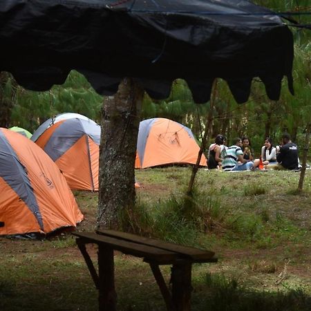 Hotel Encamp Ziro Valley Camp Hāpoli Esterno foto